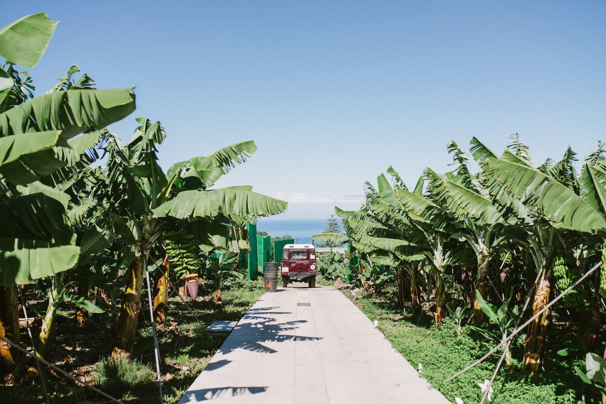 Finca El Patio ลอส เรอาเลคอส ภายนอก รูปภาพ