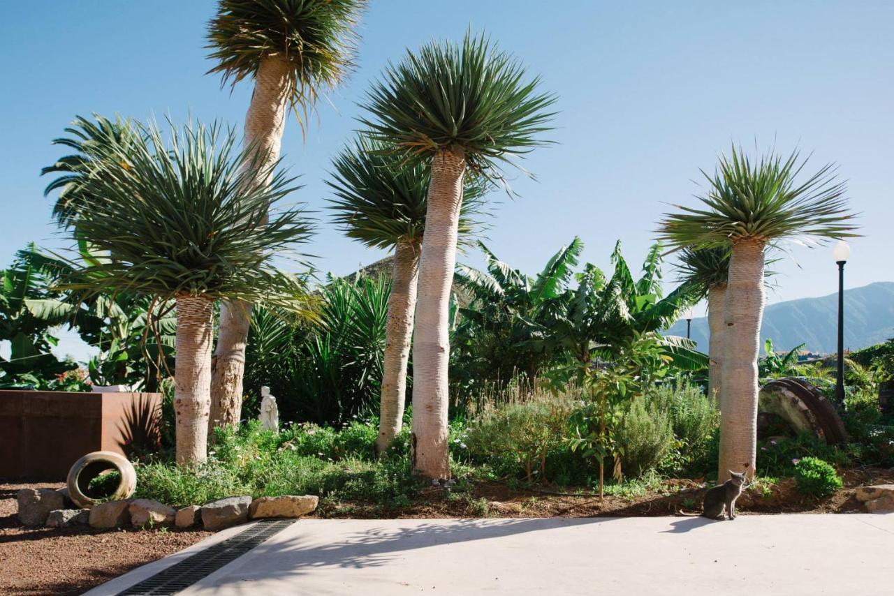 Finca El Patio ลอส เรอาเลคอส ภายนอก รูปภาพ