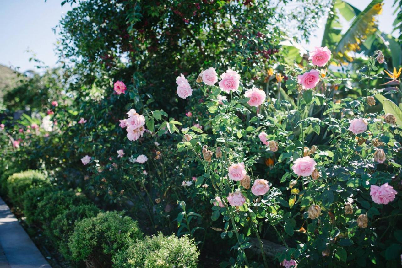 Finca El Patio ลอส เรอาเลคอส ภายนอก รูปภาพ