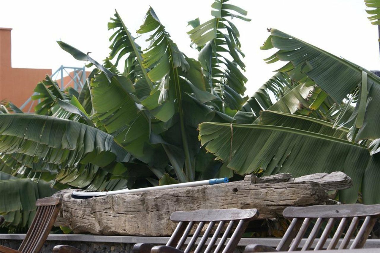 Finca El Patio ลอส เรอาเลคอส ภายนอก รูปภาพ